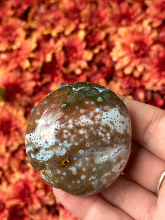 Ocean Jasper Palmstone- 8th Vein