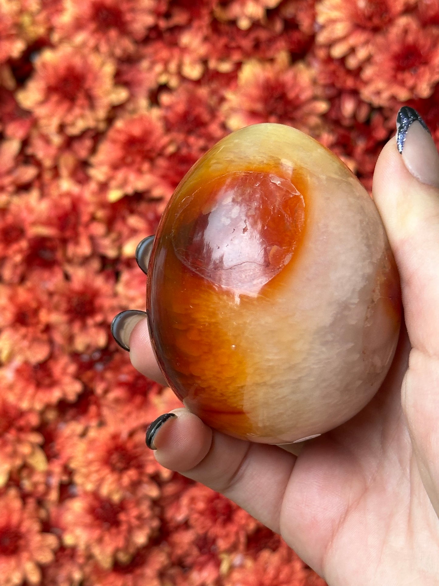 Carnelian Egg