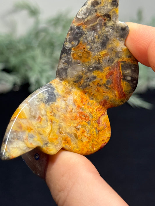 Crazy lace agate butterfly