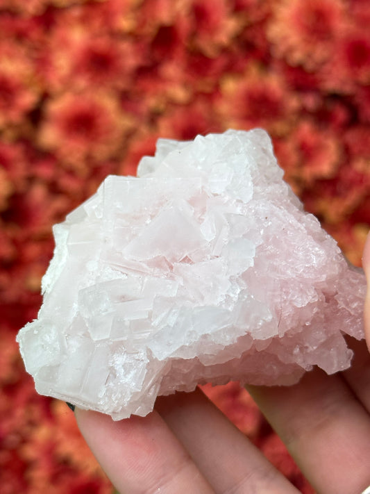 Pink Halite