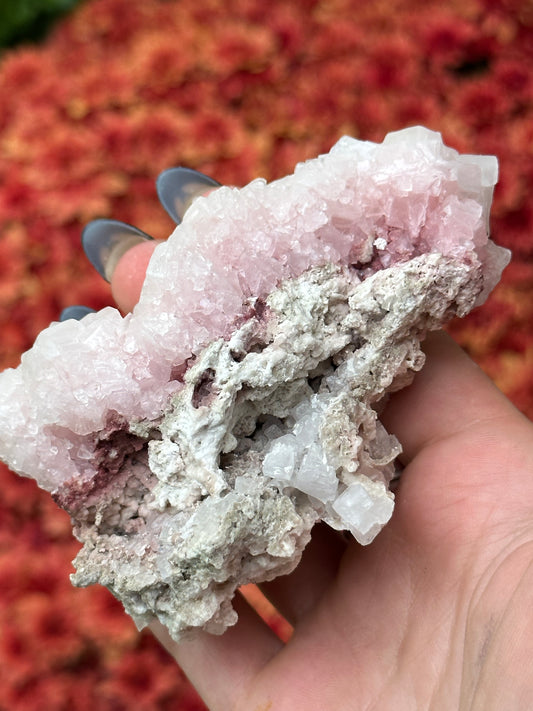 Pink Halite