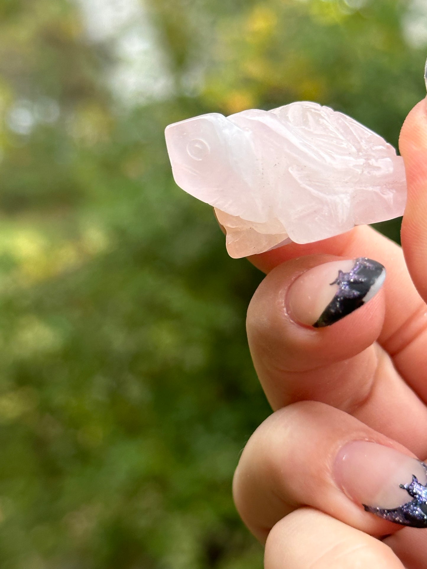 Rose Quartz Mini Turtle