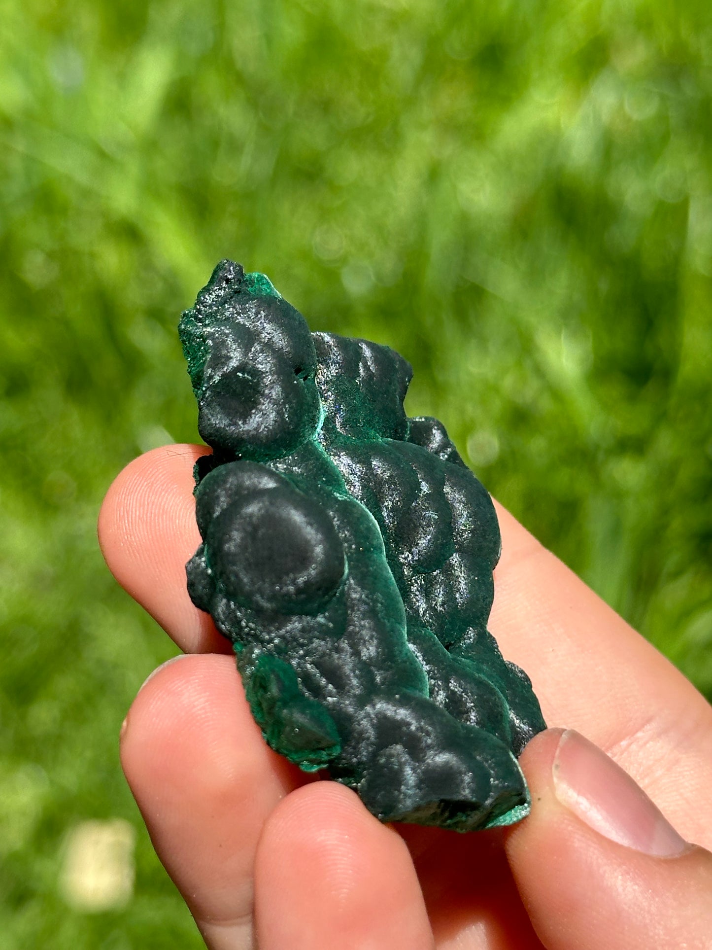 Velvet malachite