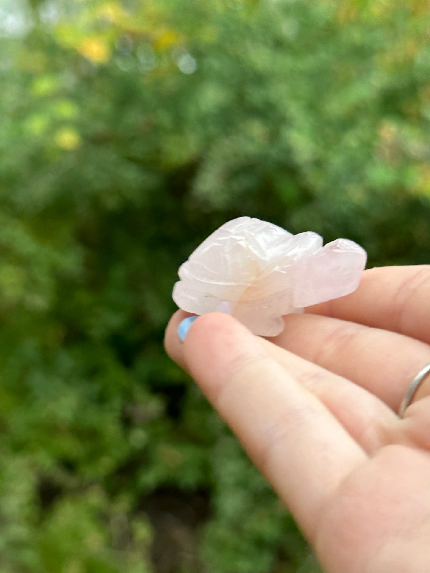 Rose Quartz Mini Turtle