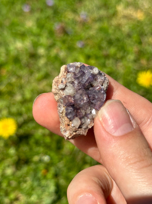 Colorado fluorite