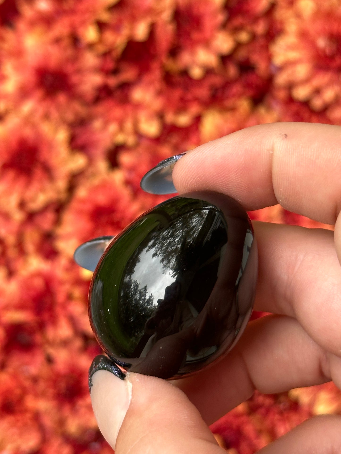 Obsidian Egg