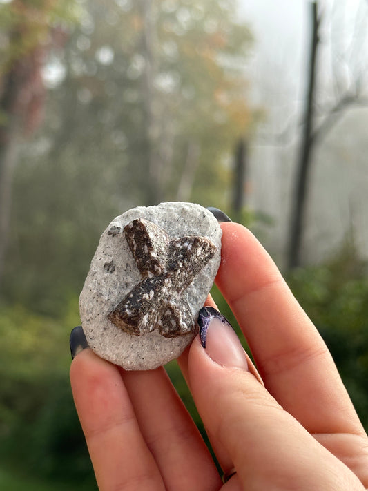 Staurolite