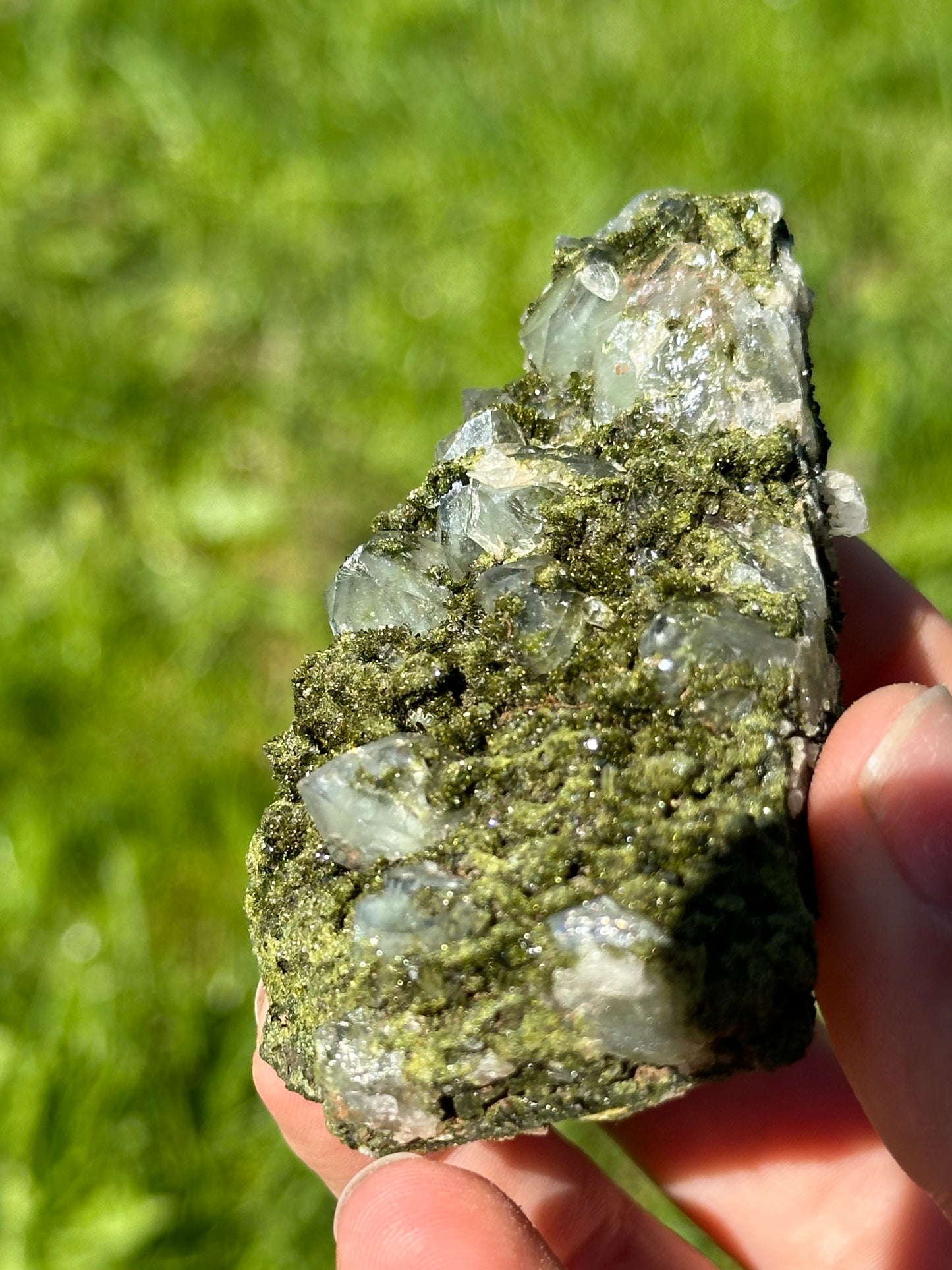 Forest epidote