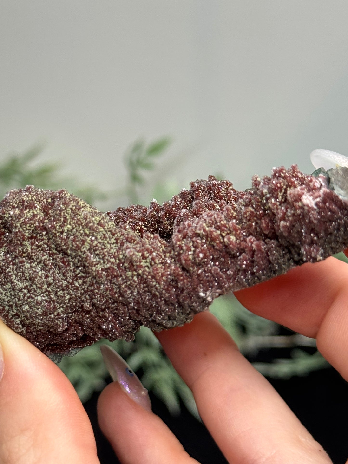 Red amethyst - Uruguay