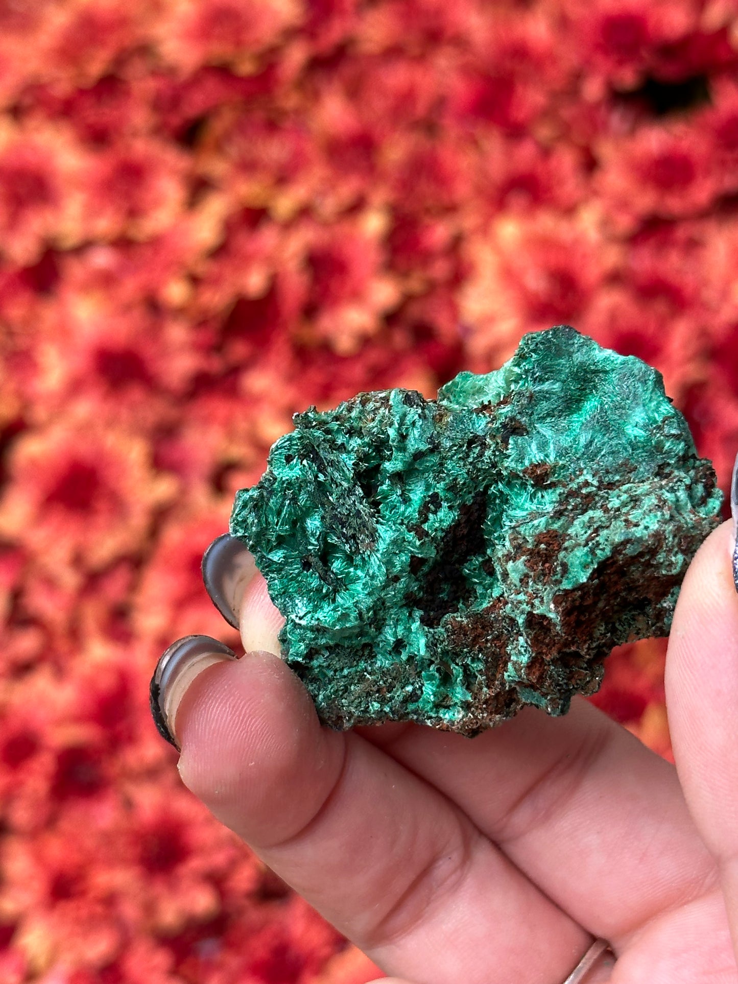 Fibrous Malachite Specimen