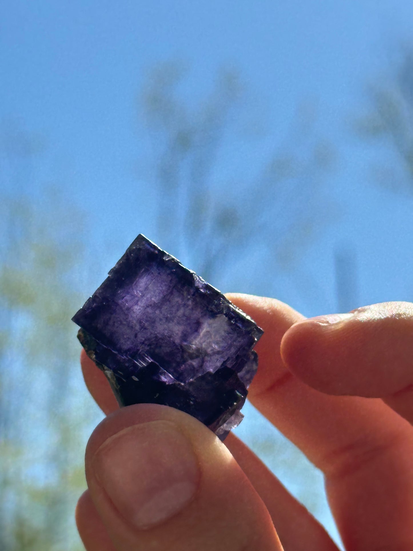 Elmwood fluorite