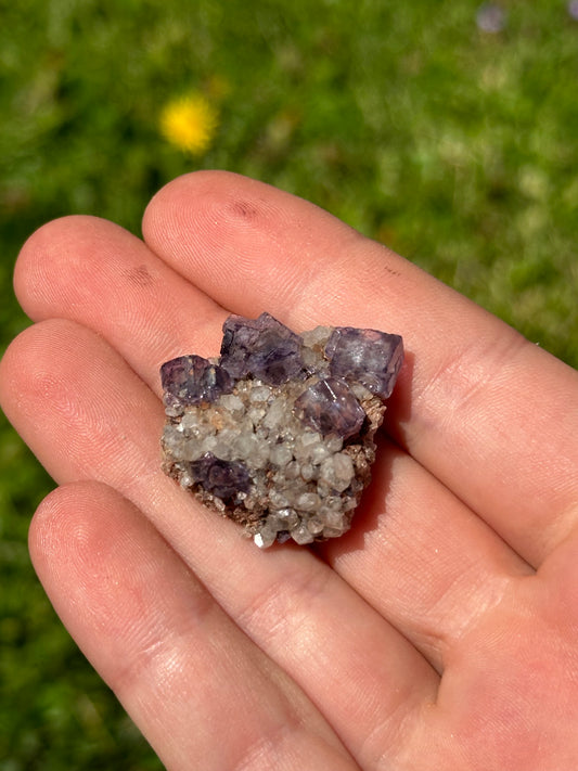Colorado fluorite