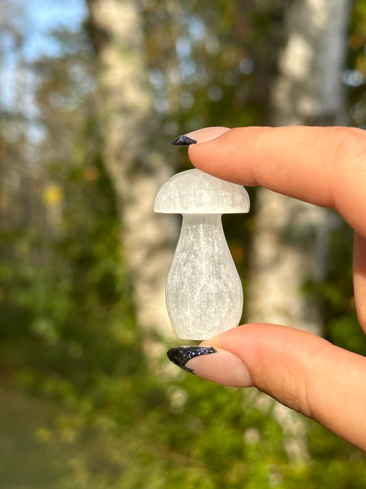 Mini Satin Spar Selenite Mushroom