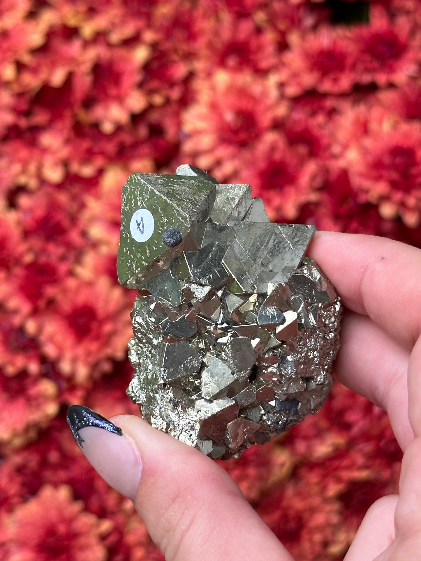 Octahedron Pyrite