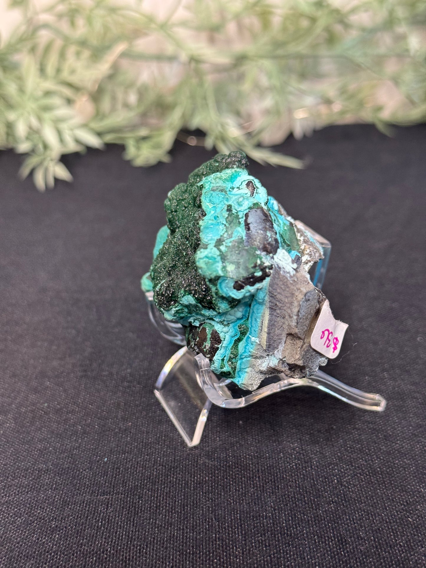 Malachite, Chrysocholla - Zaire