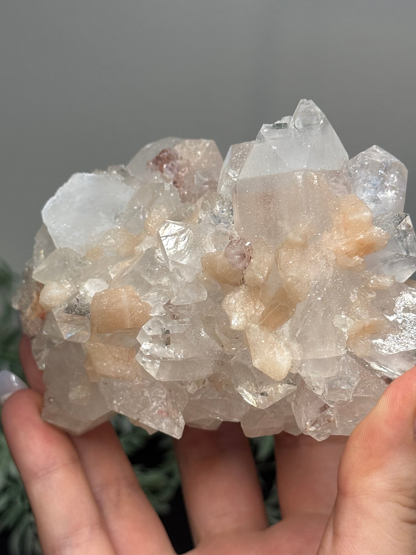 Sugary diamond Apophyllite with peach Stilbite - India