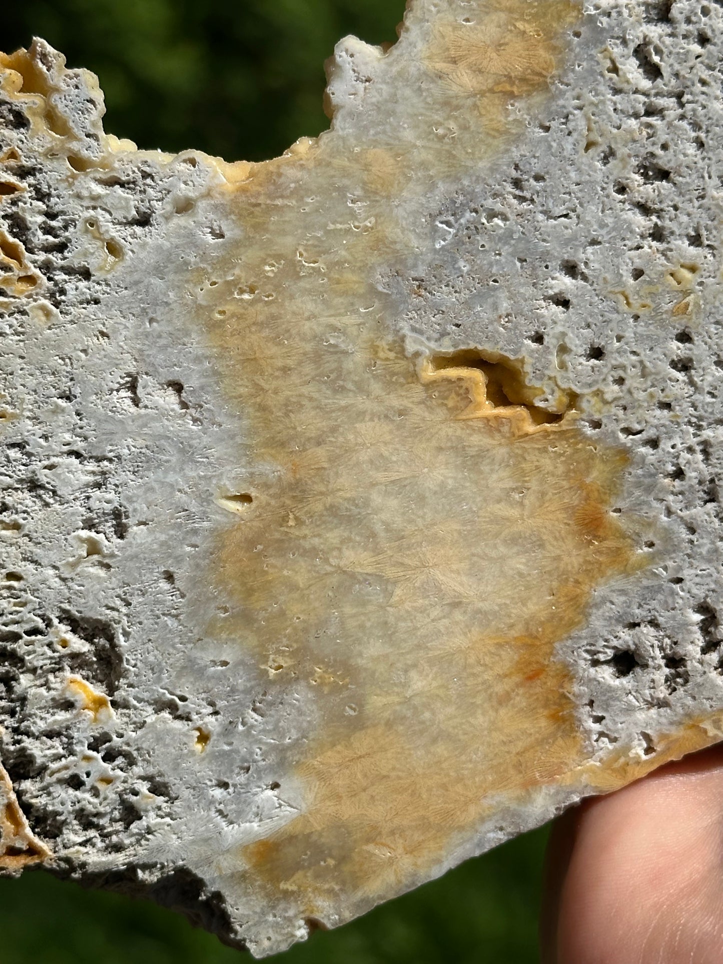 Agatized sparkly coral