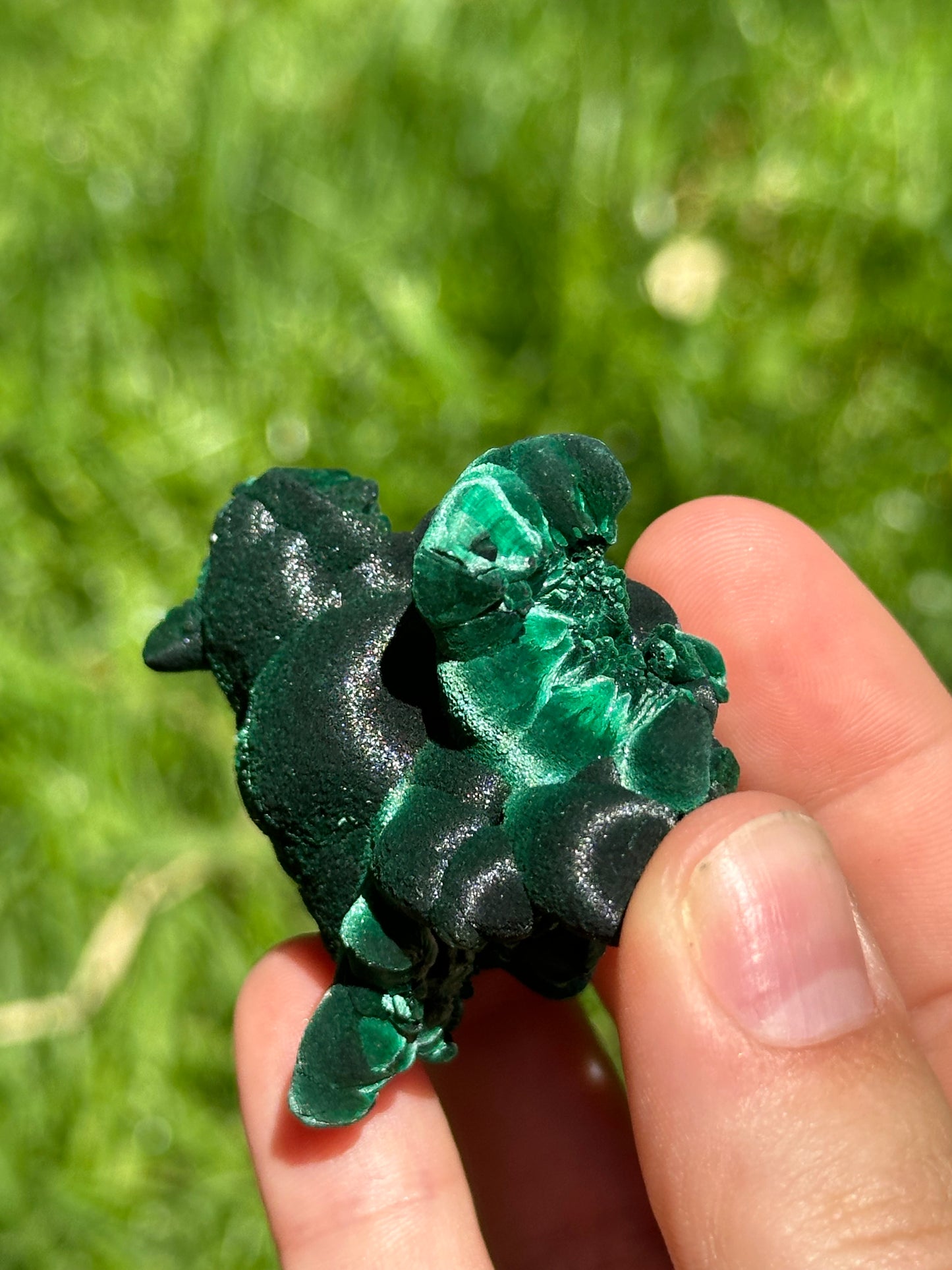 Velvet malachite