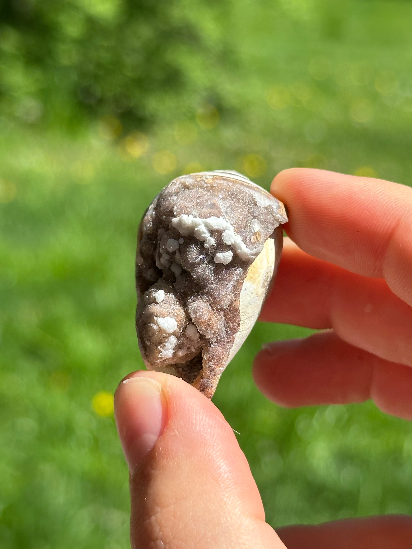 Crystallized shell | India