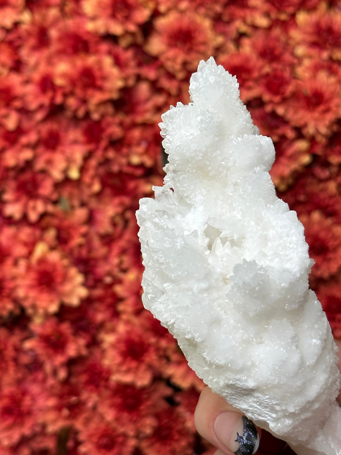 White Aragonite
