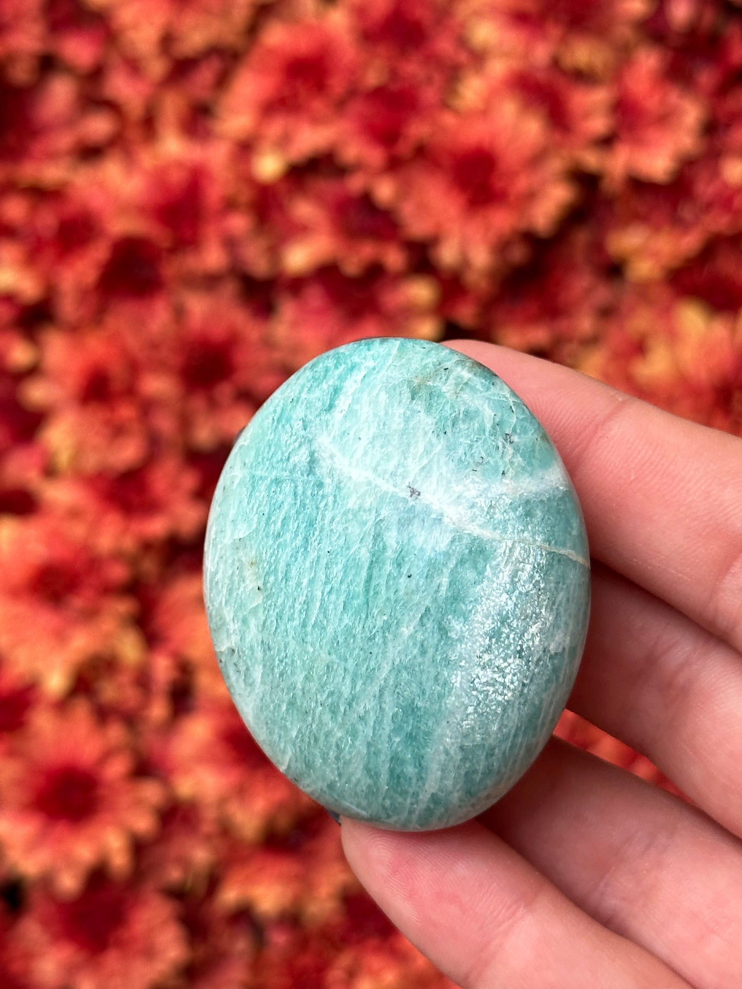 Amazonite Palmstone