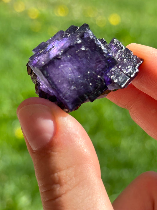 Elmwood fluorite