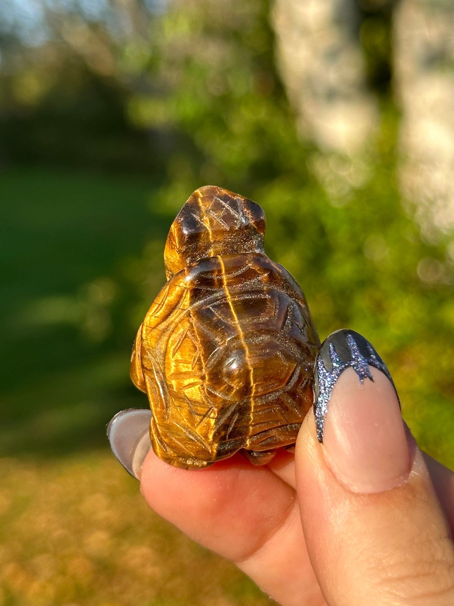 Tiger's Eye Turtle