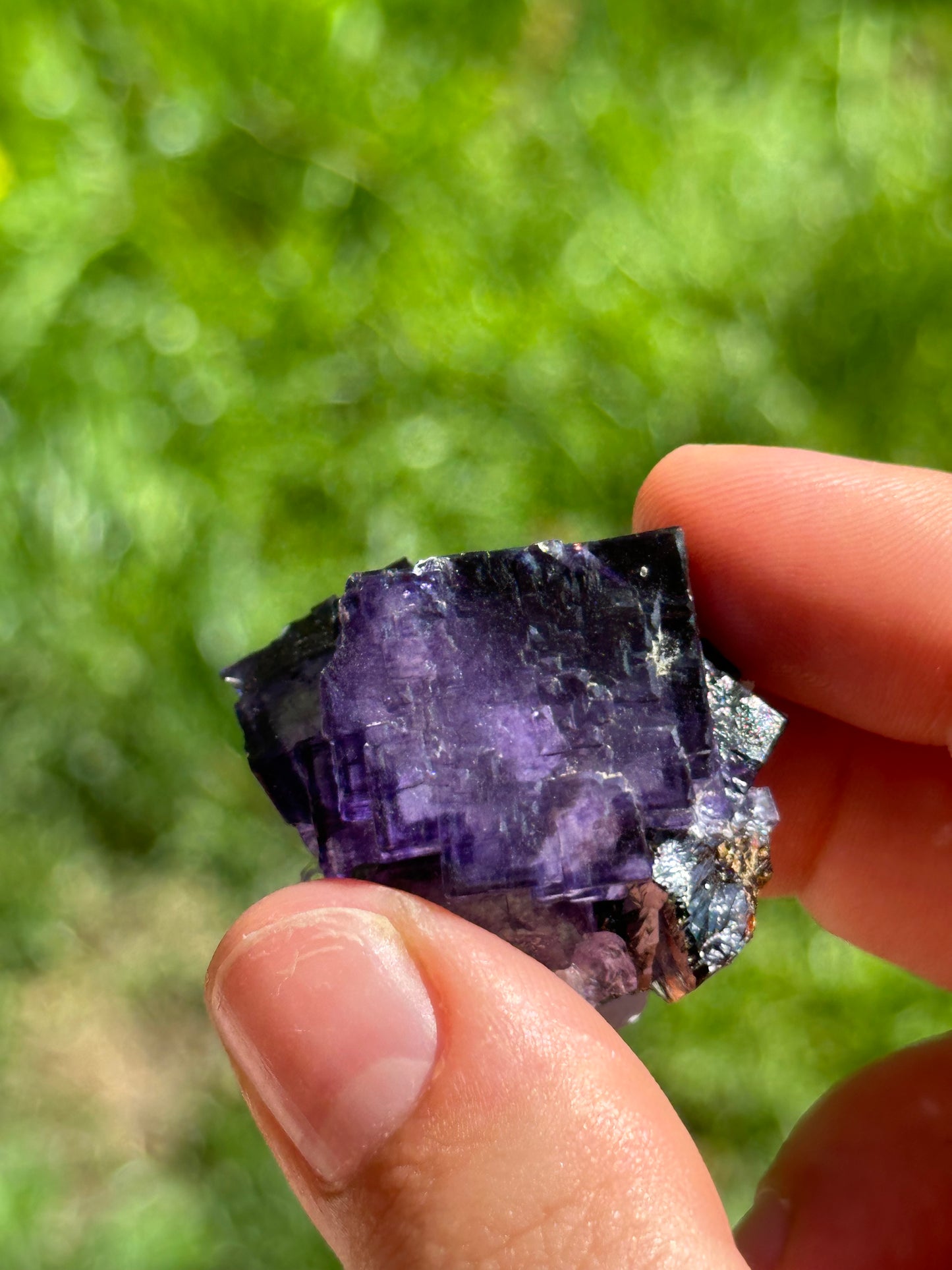 Elmwood fluorite