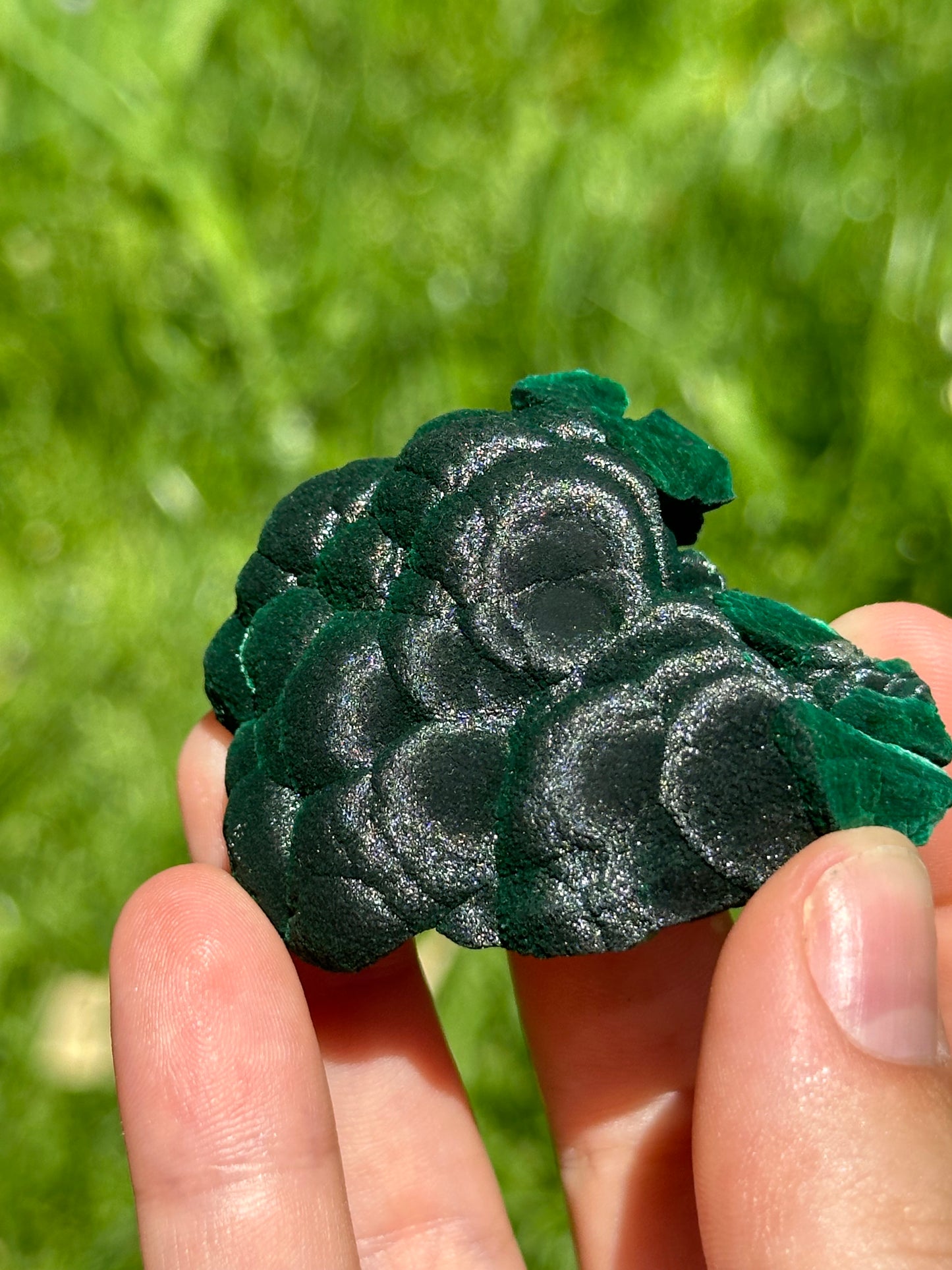 Velvet malachite