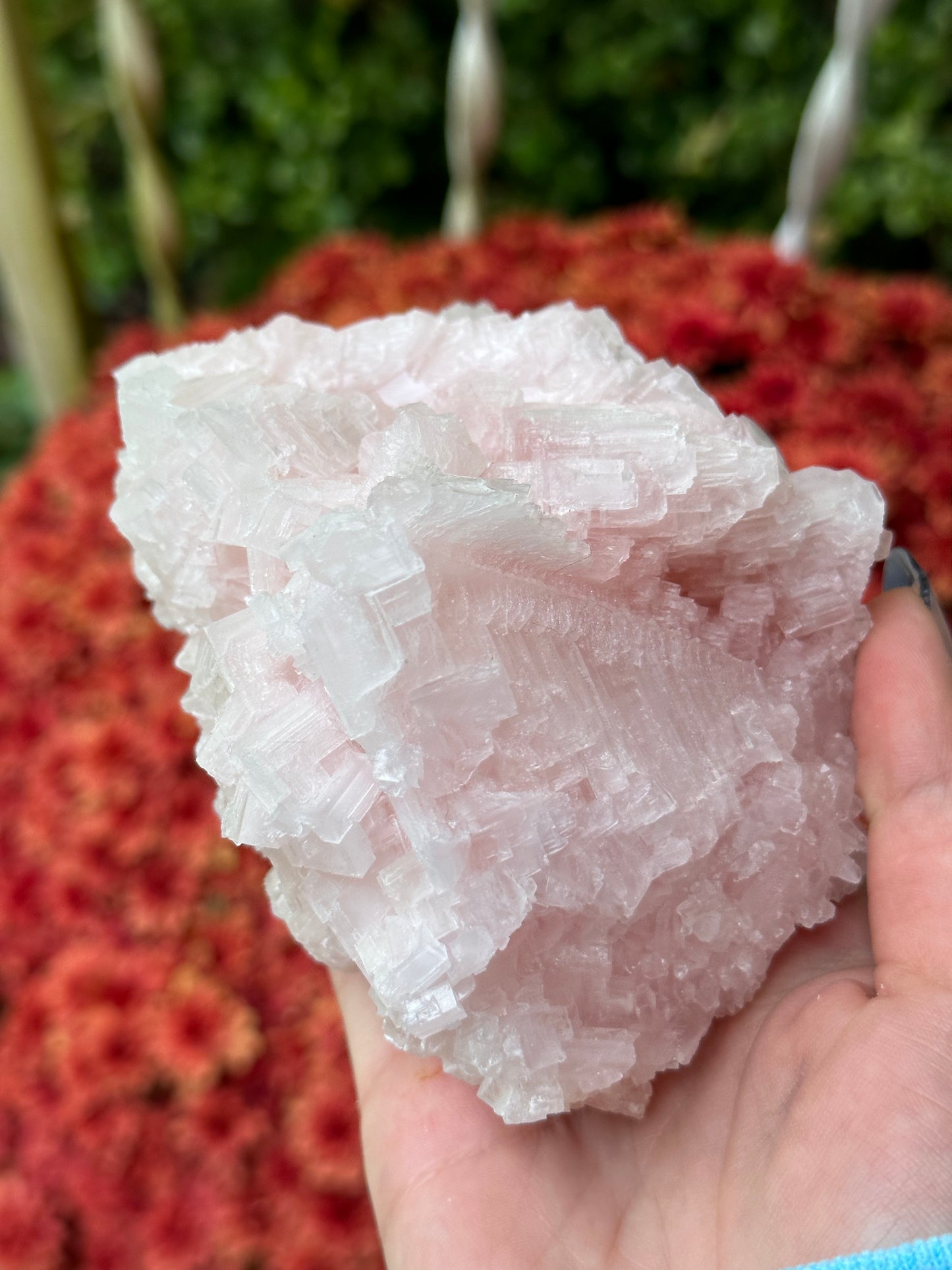 Pink Halite