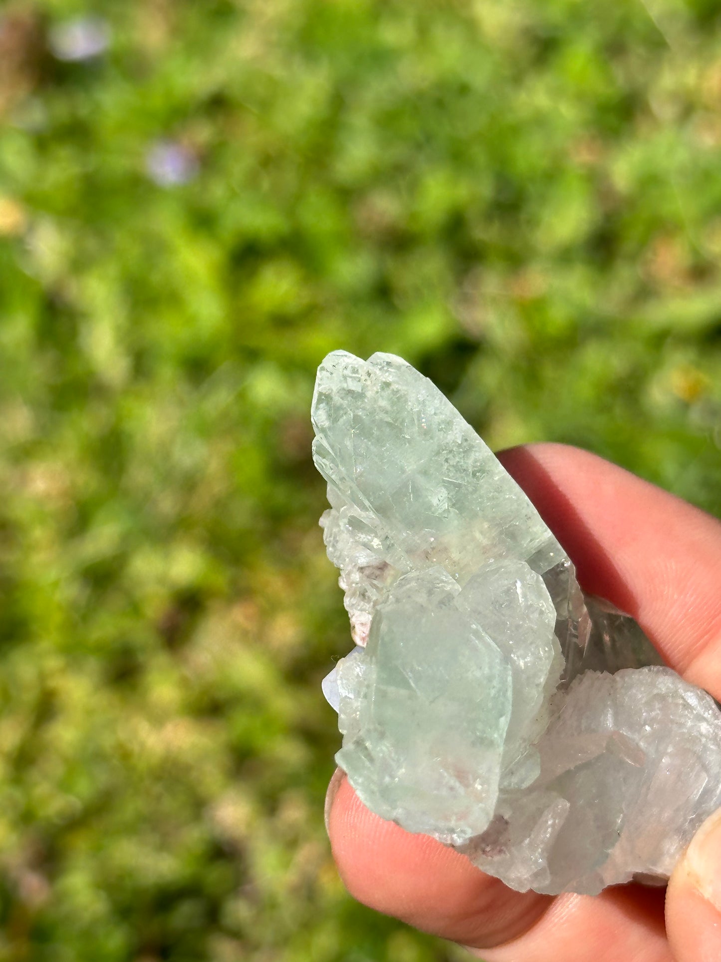 Green apophyllite with pink chalcedony | India