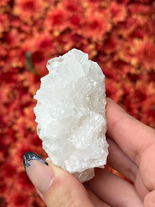 White Aragonite