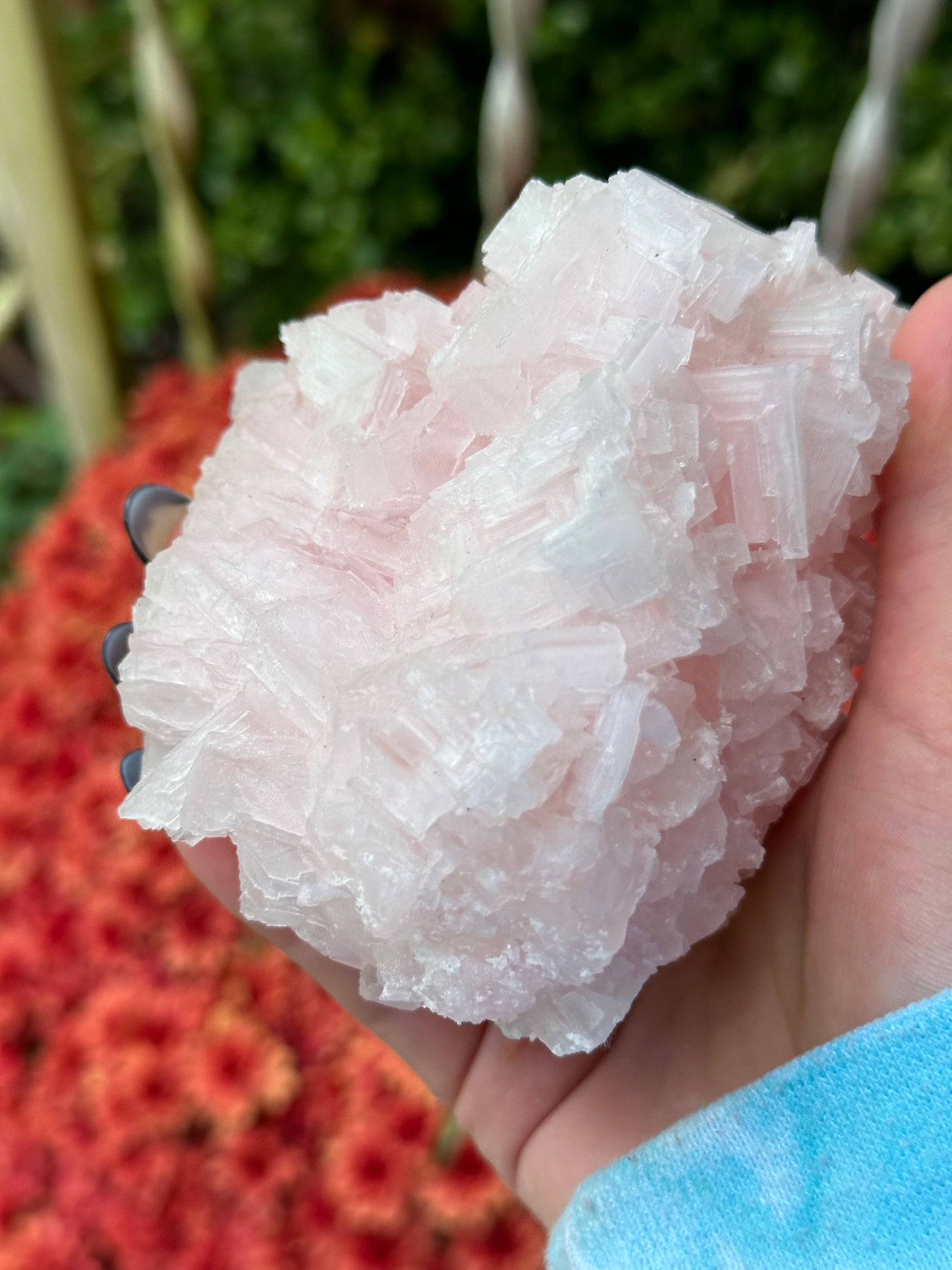 Pink Halite