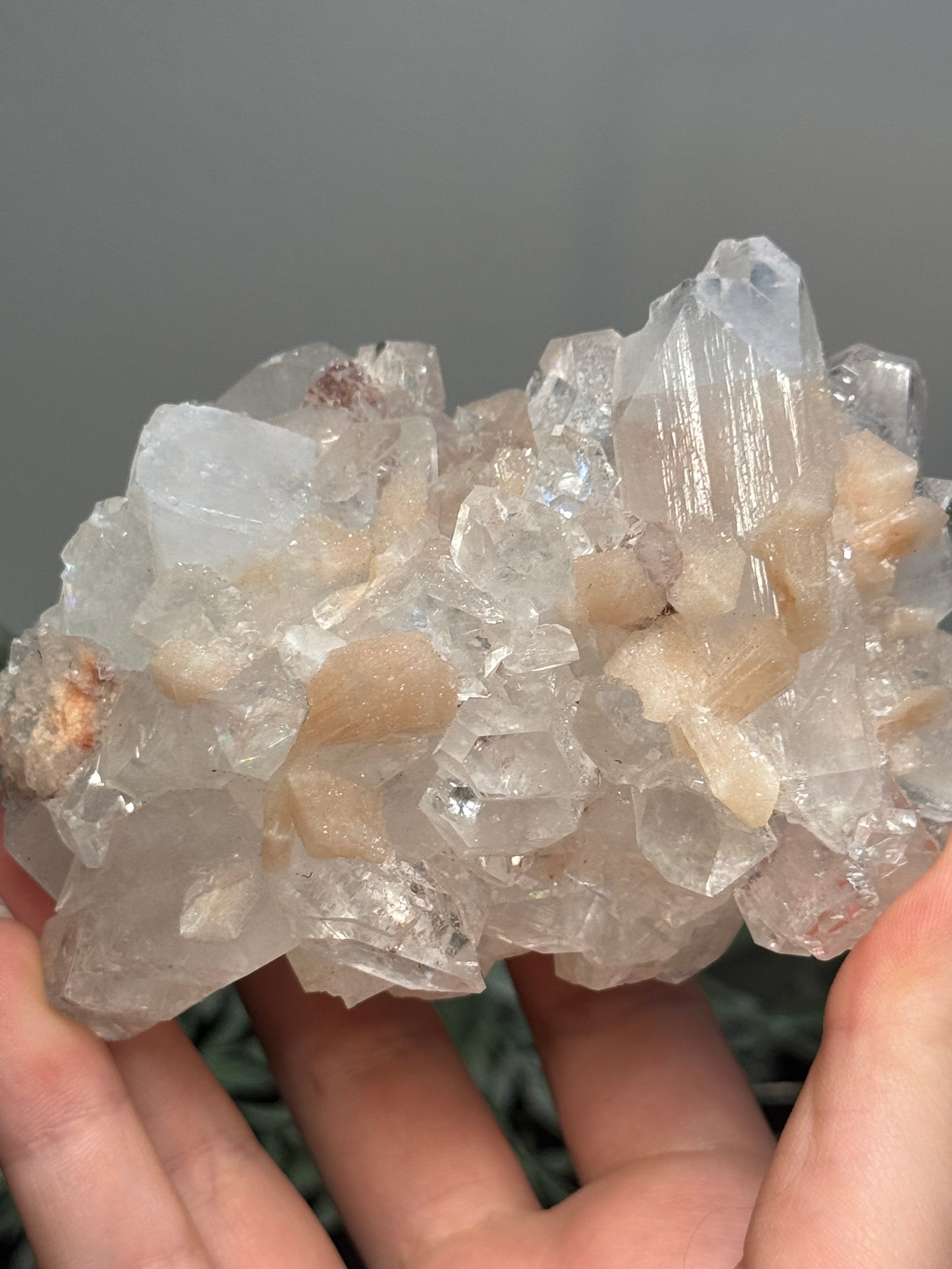 Sugary diamond Apophyllite with peach Stilbite - India