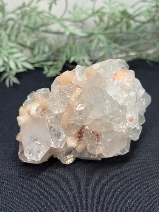 Sugary diamond Apophyllite with peach Stilbite - India