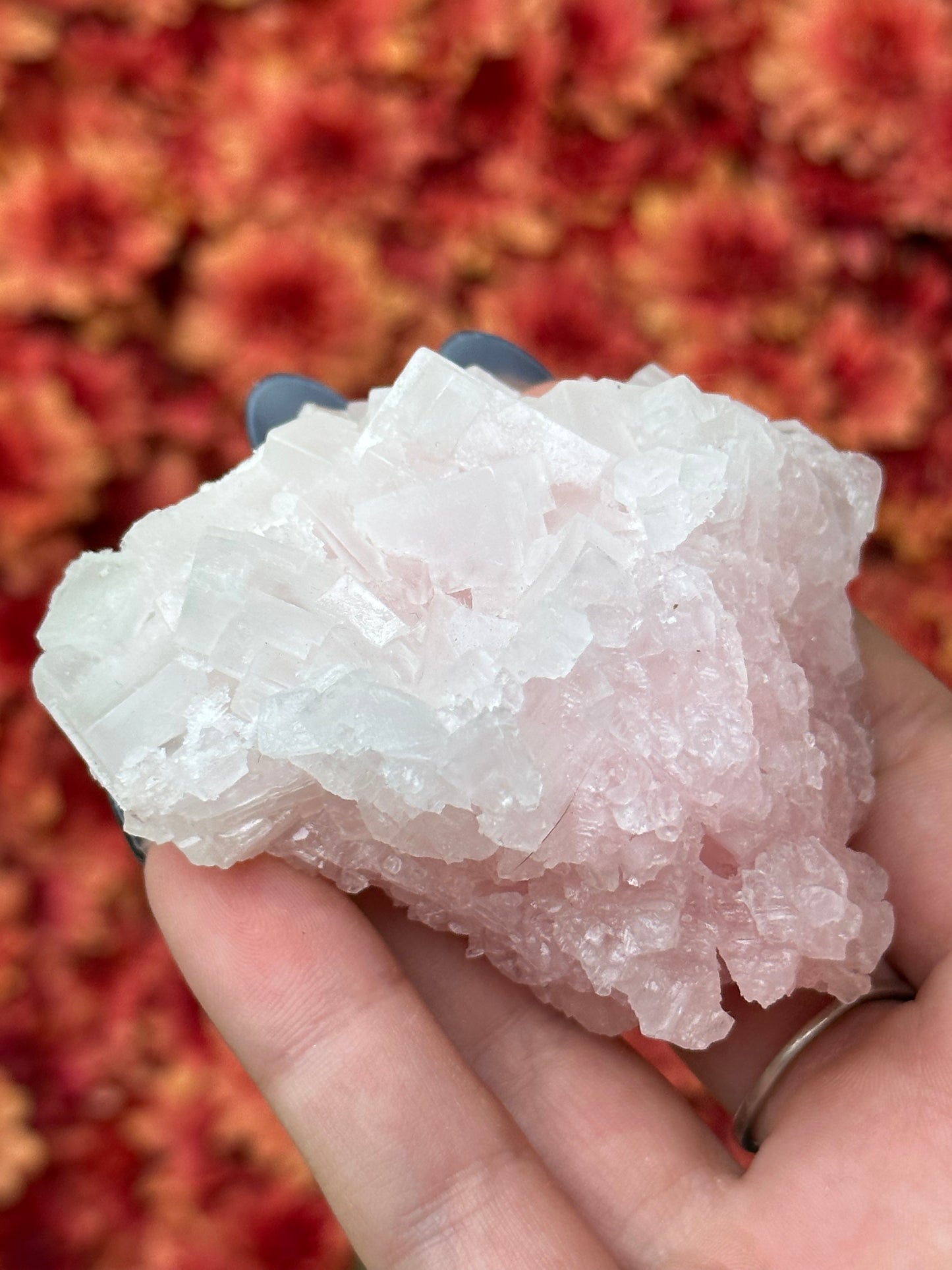Pink Halite