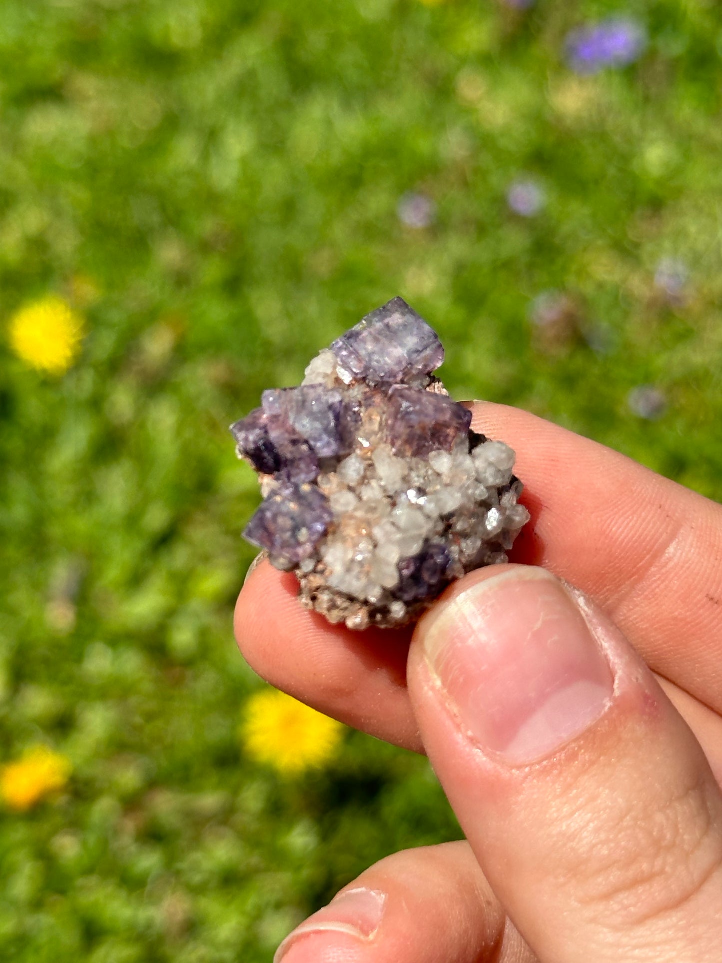 Colorado fluorite