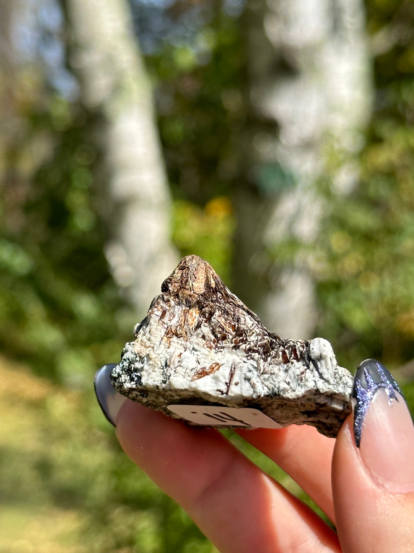 Astrophyllite