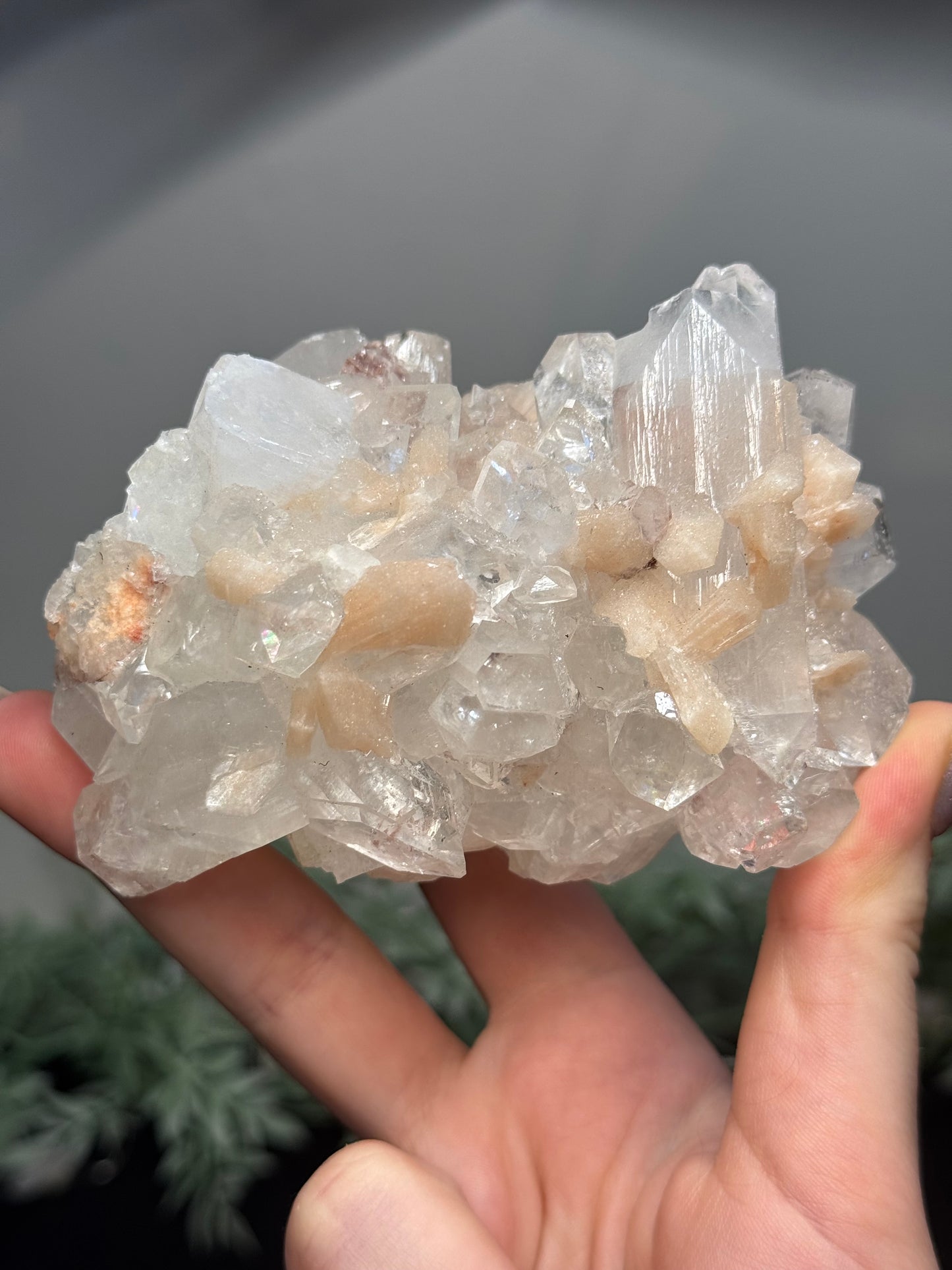 Sugary diamond Apophyllite with peach Stilbite - India