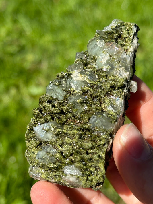 Forest epidote