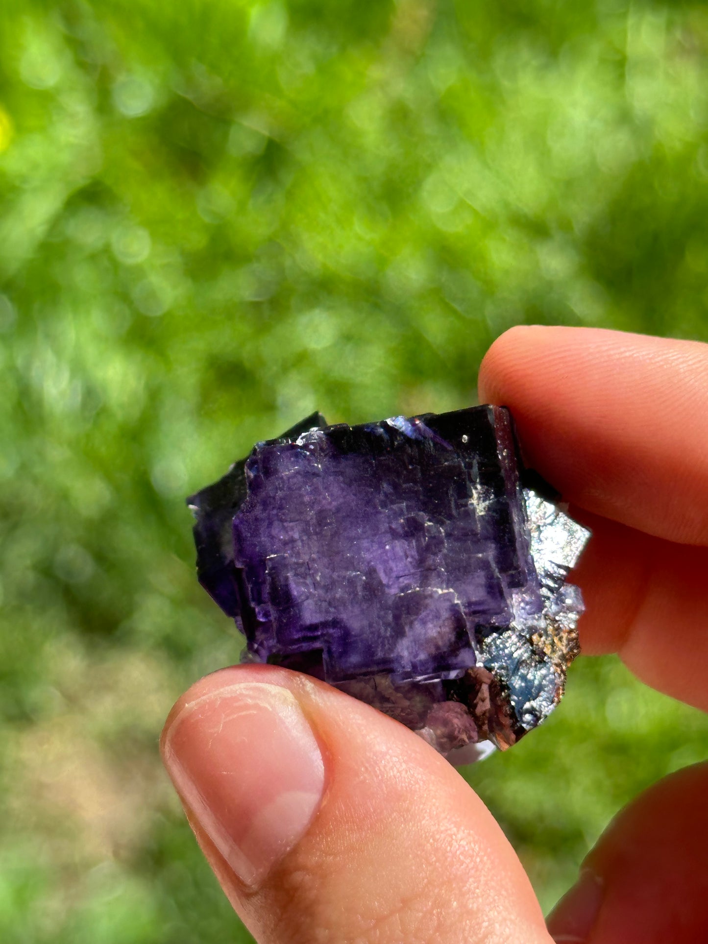 Elmwood fluorite