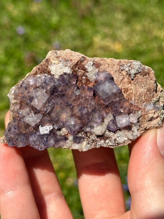 Colorado fluorite