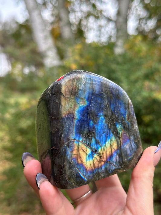 Labradorite Freeform