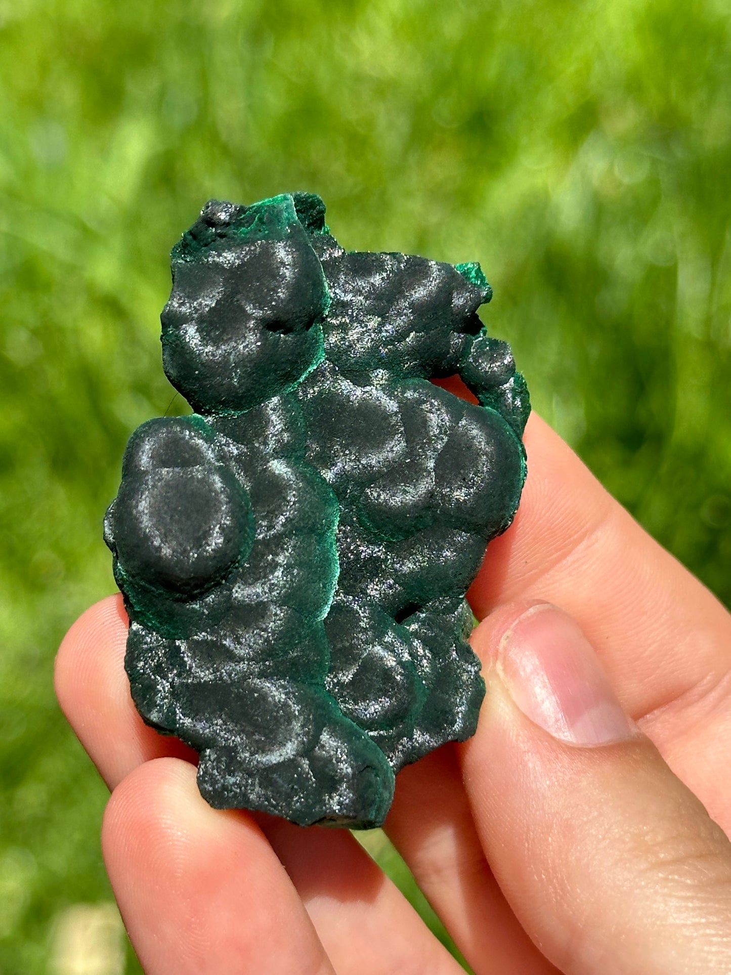 Velvet malachite