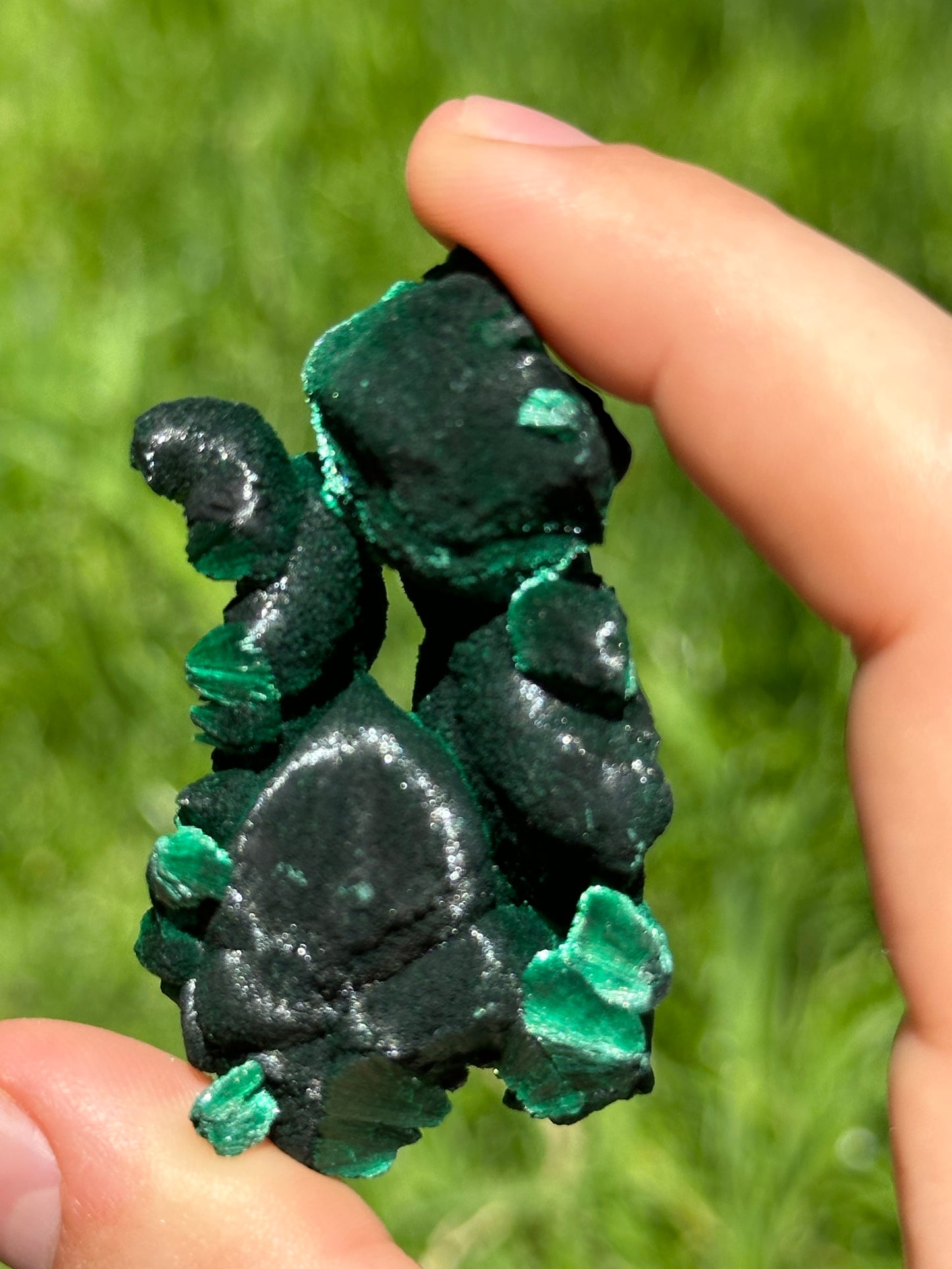 Velvet malachite