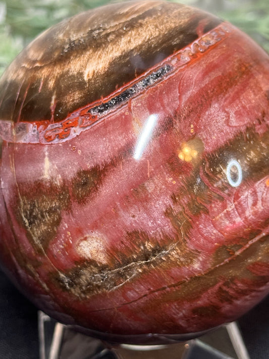 XL pink petrified wood sphere