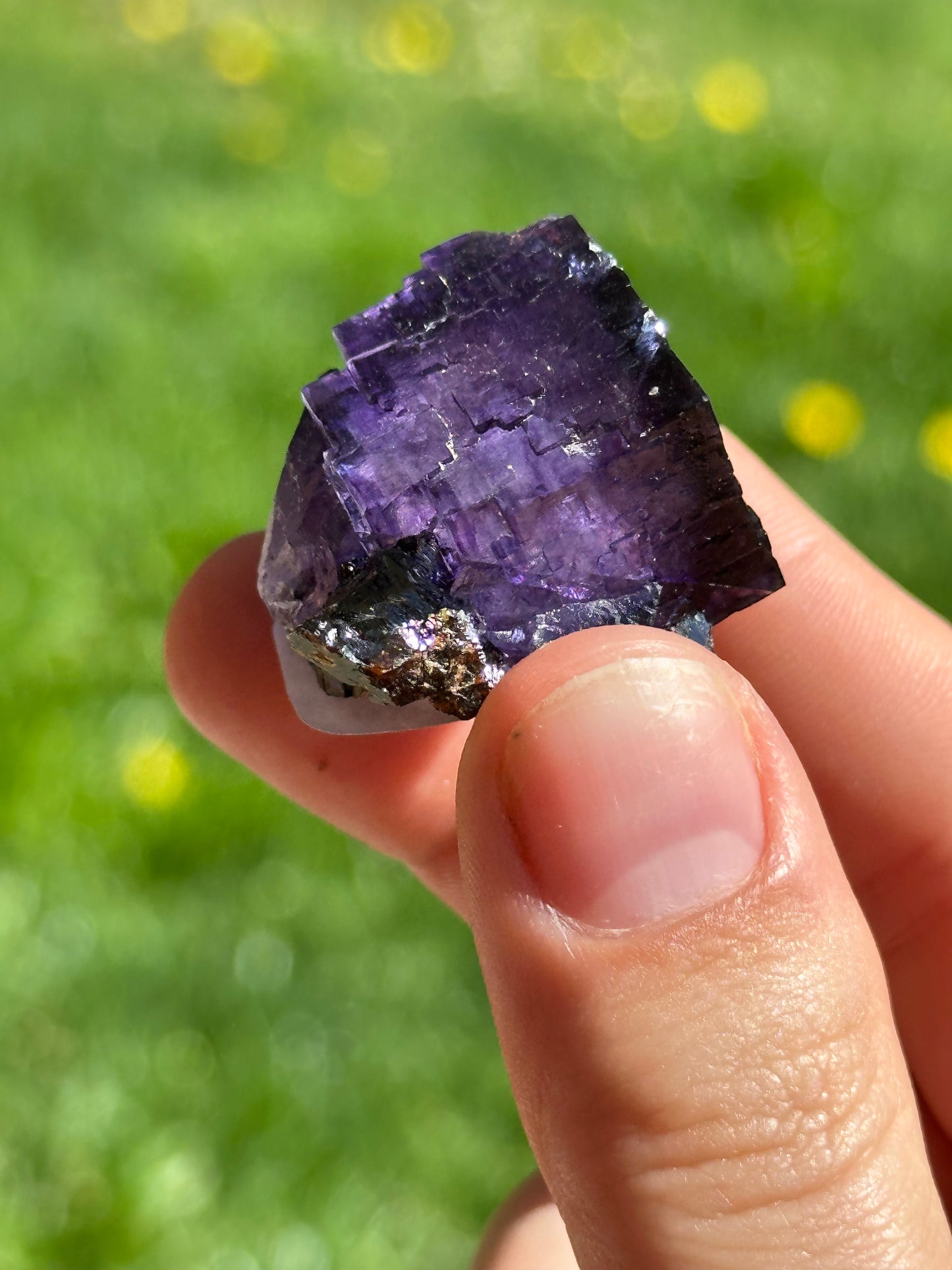 Elmwood fluorite