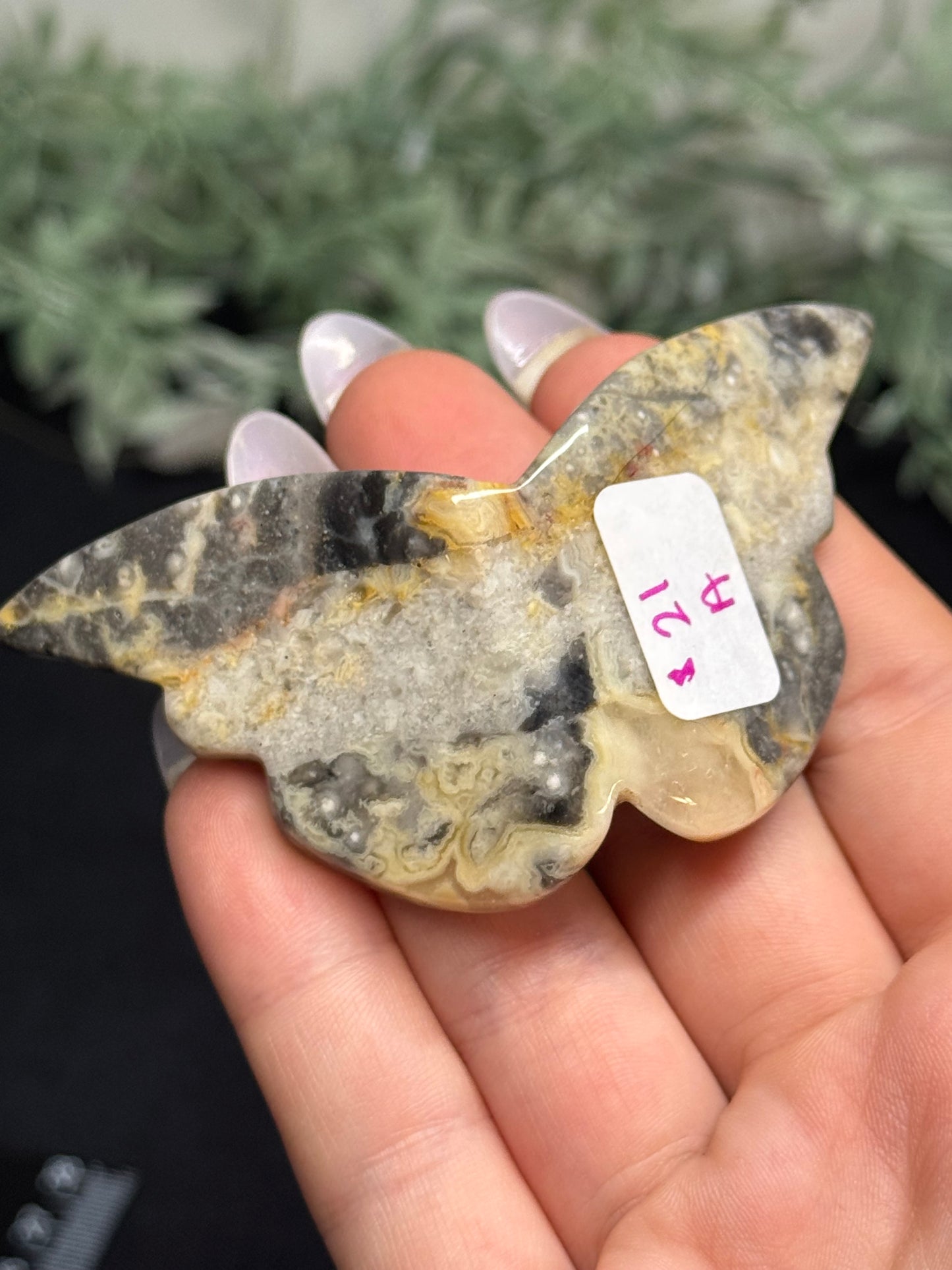 Crazy lace agate butterfly