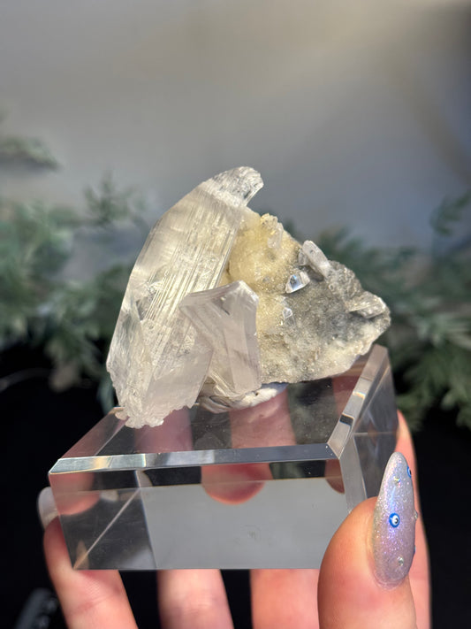 Niaca Selenite