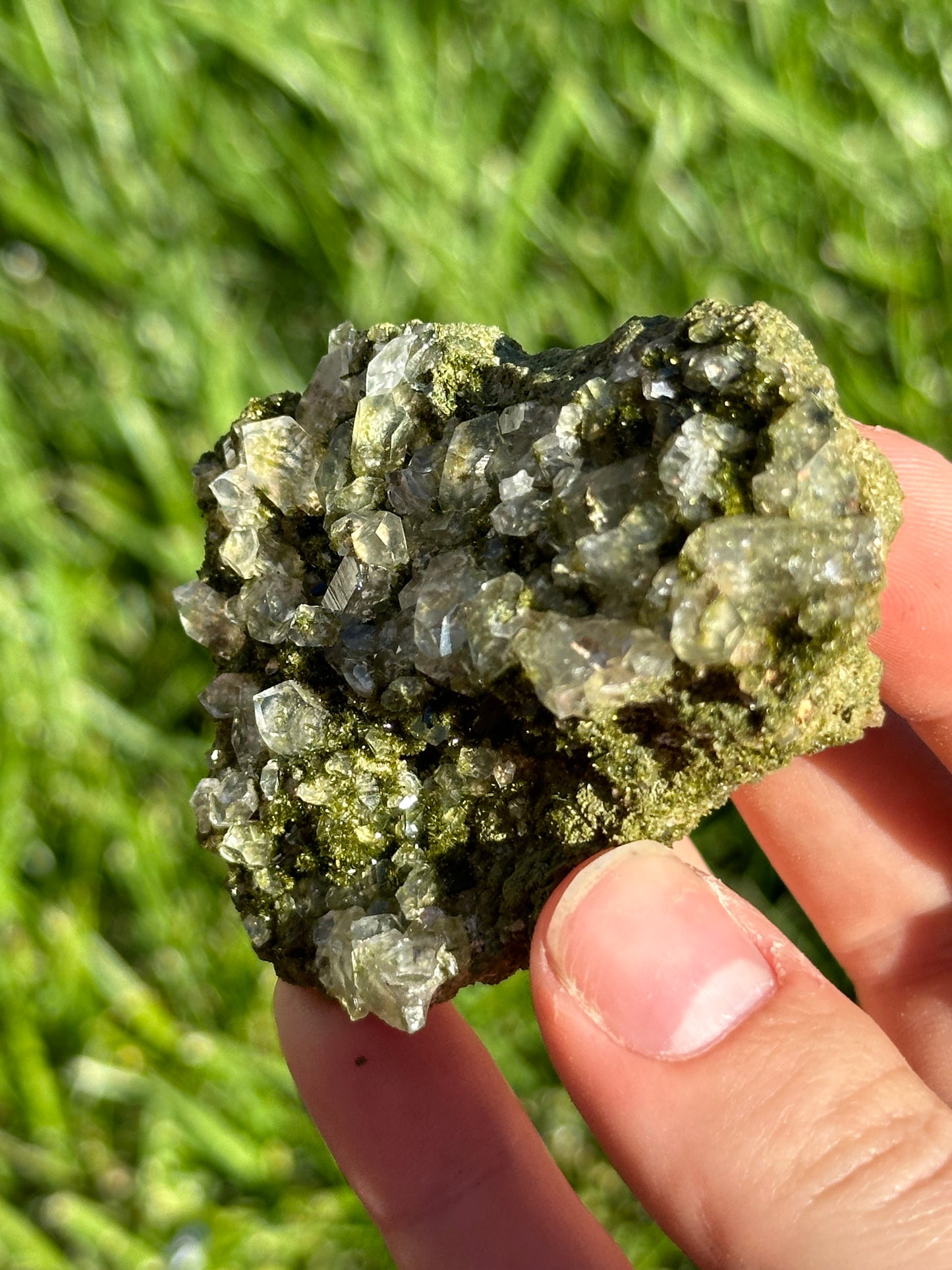 Forest epidote